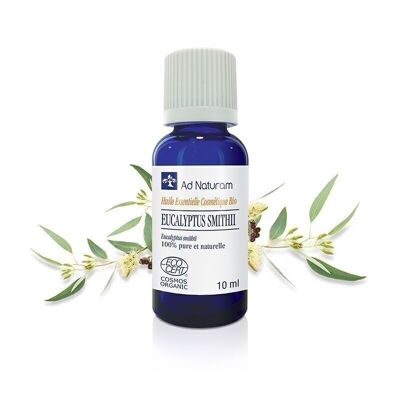 Huile essentielle Eucalyptus Smithii BIO