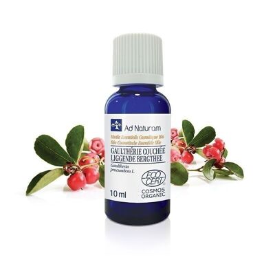 Organic wintergreen essential oil