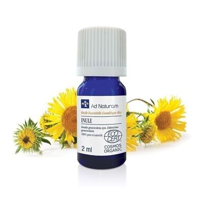 Organic Inule essential oil