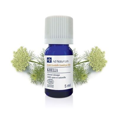 Aceite esencial de Khella ORGÁNICO