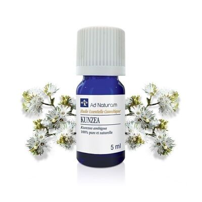 Kunzea essential oil