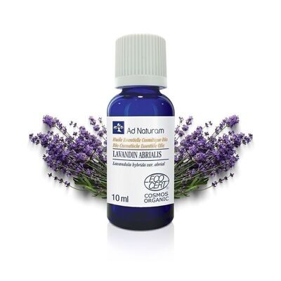 Organic Lavandin Abrialis essential oil