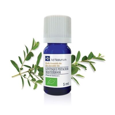 OLIO ESSENZIALE BIOLOGICO DI PISTACCHIO MENTISCUS