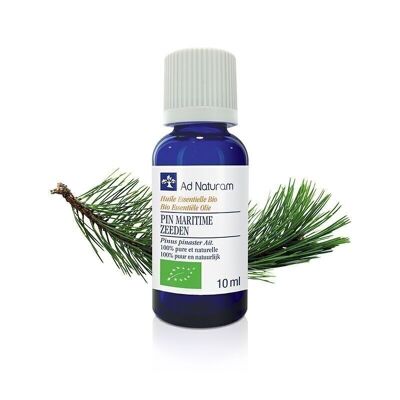 Organic Maritime Pine essential oil