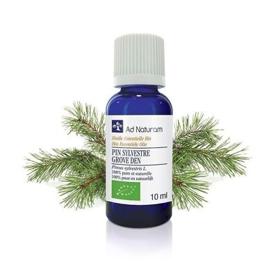 Organic Scots Pine essential oil