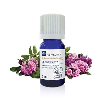 Rhododendron ORGANIC essential oil