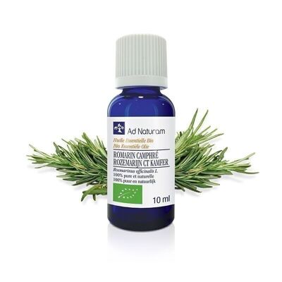 Organic Rosemary Camphor essential oil