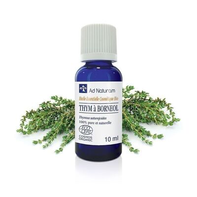 Organic White Thyme essential oil in Borneol