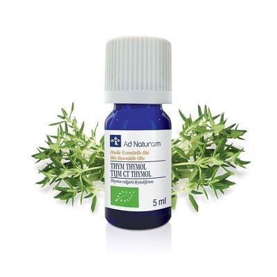 ORGANIC THYME ESSENTIAL OIL WITH THYMOL