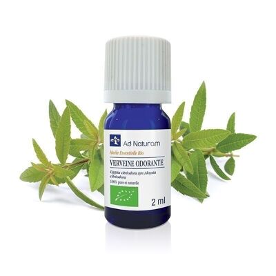 Organic Fragrant Verbena essential oil