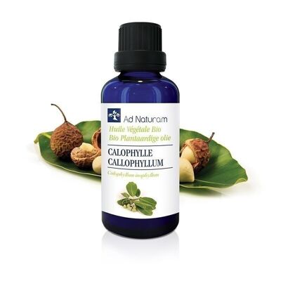 OLIO VEGETALE DI CALOFILLE BIOLOGICO