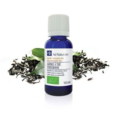 Aceite esencial de árbol de té orgánico