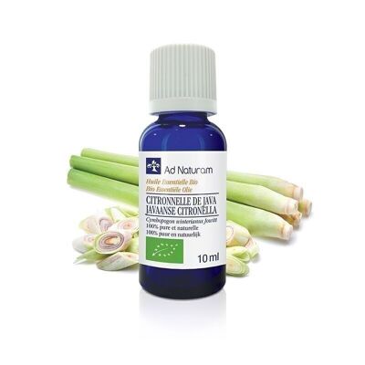 Organic Java Lemongrass essential oil