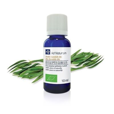 Organic eucalyptus globulus essential oil