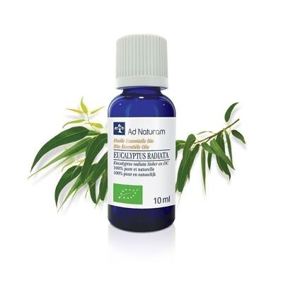 ORGANIC EUCALYPTUS RADIATA ESSENTIAL OIL