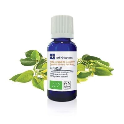 Organic ravintsara essential oil