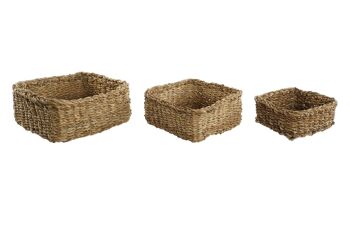 PANIER SET 3 HERBE MER 26X26X12 NATUREL DC202113 1