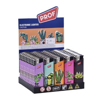 Briquets Prof Electroniques Cactus