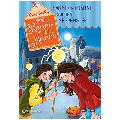 Buch Hanni und Nanni suchen Gespenster 07