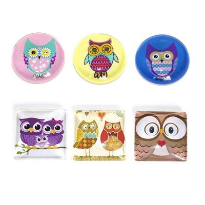 Assortment of square owl magnets
