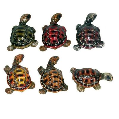 Schildkrötenmagnet