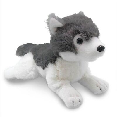 Husky plush lying down