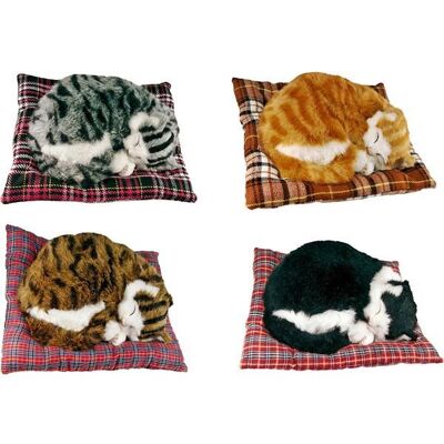 Cats asleep on cushion