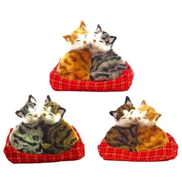 Ein paar Katzen im Korb