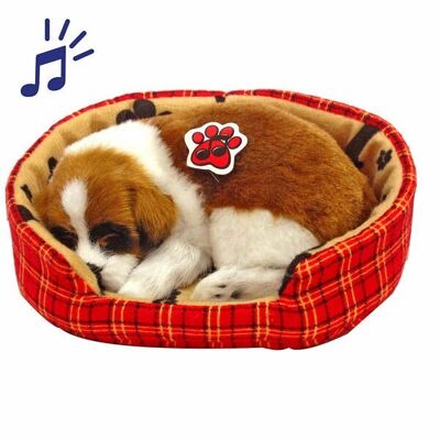 Dog in carrycot with sound