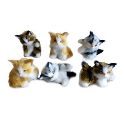 Assortimento di mini gattini