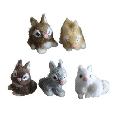 Assortment of mini rabbits
