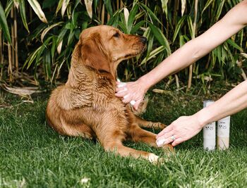 Shampoing à sec pour animaux de compagnie – Apaisant et désodorisant 9