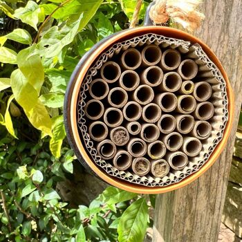 Nid d'abeilles écologique 4