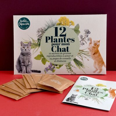 Enveloppe de 12 sachets - Pour mon chat