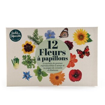 Enveloppe de 12 sachets - Fleurs à papillons 4