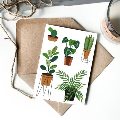 Zimmerpflanze-Auswahl-Illustrationskarte für alle Gelegenheiten