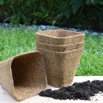 Pots de semis en fibre de coco certifiés biologiques caoutchoutés 2