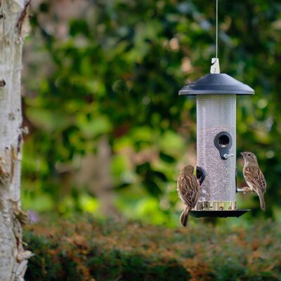 Comedero para pájaros con semillas