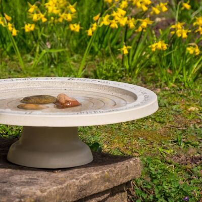 Shenstone Theatre Bird Bath and Drinker