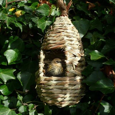 Tall Roosting Nest Pocket