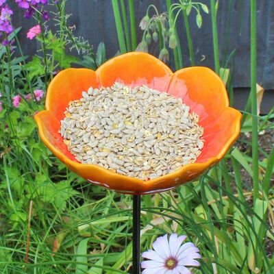 Wild Poppy Red Bird Feeder