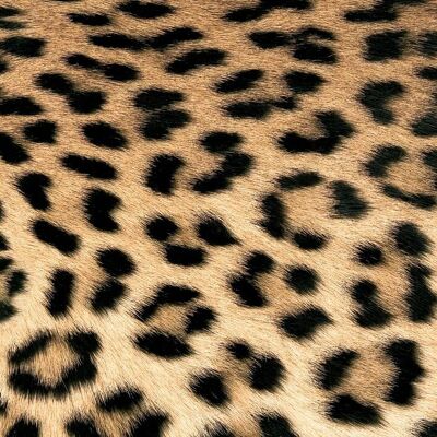 Leopard Couture 33x33 cm