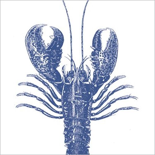 Lobster marine 33x33cm