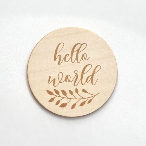 Baby Announcement Sign - Hello World Eucalyptus