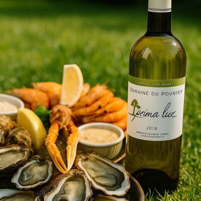 Prima Luz Vino Bianco Secco IGP Côtes de Gascogne 2023 75 cl HVE3 100% Gros Manseng