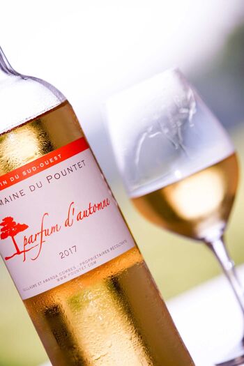 Parfum d’automne 2019 Vin blanc doux IGP Comté Tolosan 75 cl HVE3 3