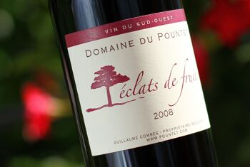 Éclats de fruits 2015 Vin rouge Fruité IGP Comté Tolosan 75 cl HVE3 3