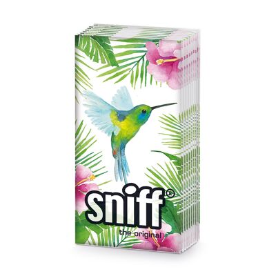 Renifler le colibri tropical