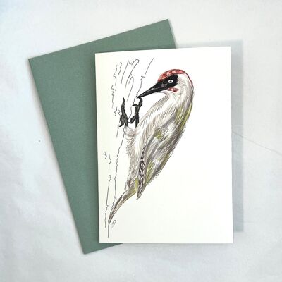 Card & envelope - Green Woodpecker