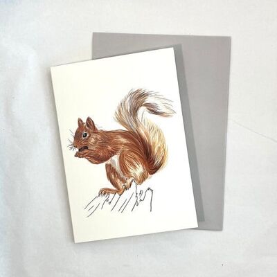 Karte & Umschlag – Eichhörnchen